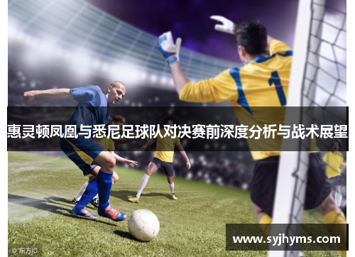 惠灵顿凤凰与悉尼足球队对决赛前深度分析与战术展望